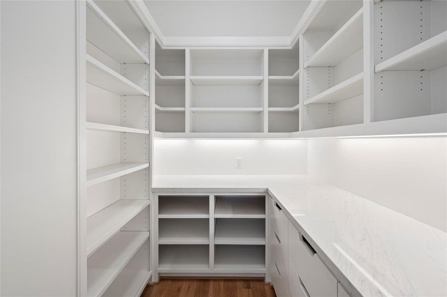 Large walk in pantry with quartz counters for small appliances keeping kitchen counters clean