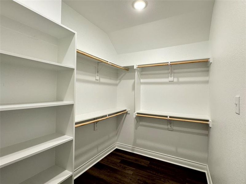 Walk in closet with dark hardwood / wood-style floors