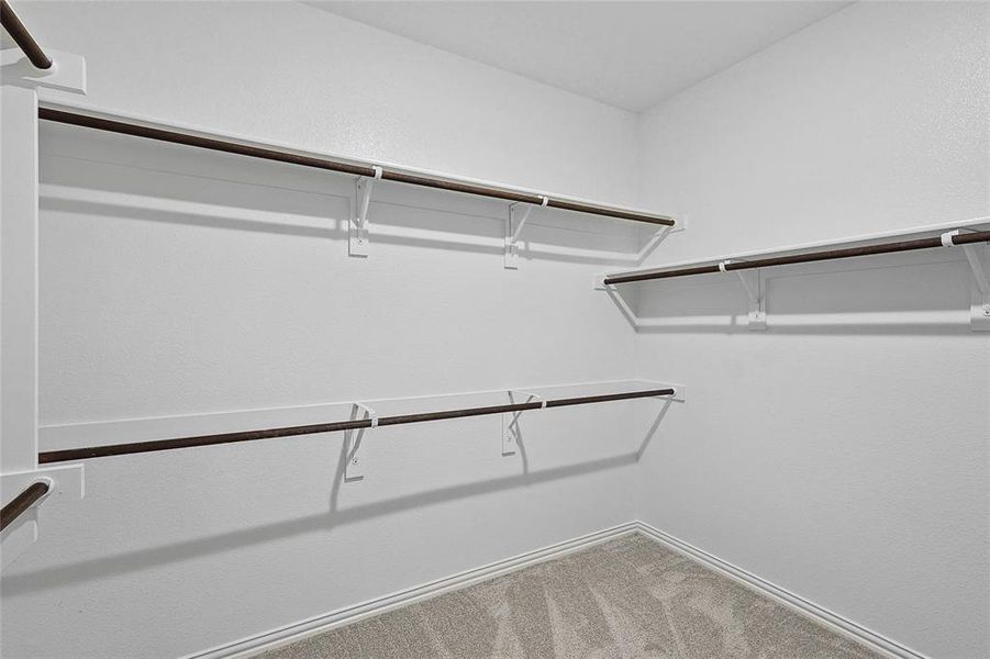 Walk in closet with carpet flooring