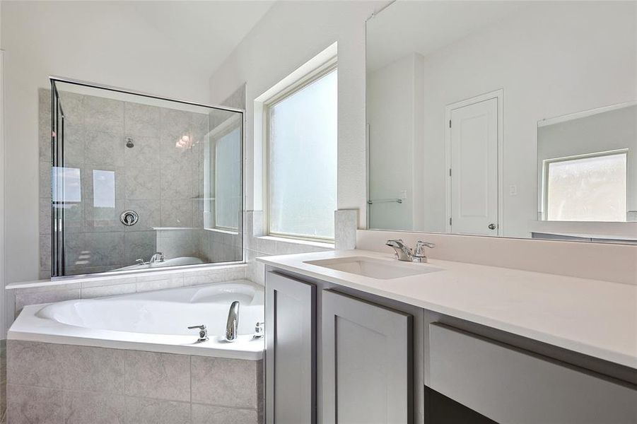 Bathroom with vanity and independent shower and bath