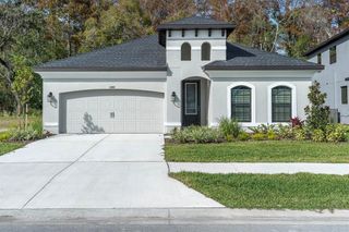 New construction Single-Family house 11389 Weaver Hollow Rd, New Port Richey, FL 34654 Salerno- photo