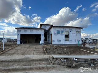 New construction Single-Family house 1712 Lucent Ct, Windsor, CO 80550 - photo