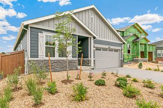 New construction Single-Family house 4438 Soapberry Pl., Castle Rock, CO 80108 - photo