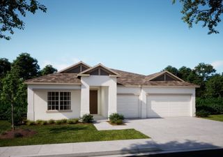 New construction Single-Family house Tbd White Magnolia Square, Thonotosassa, FL 33592 The Venice- photo