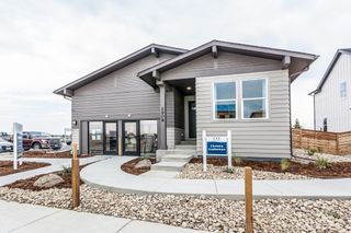 New construction Single-Family house 2908 Conquest Street, Fort Collins, CO 80524 - photo