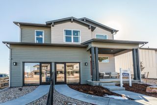 New construction Single-Family house 2908 Conquest Street, Fort Collins, CO 80524 - photo