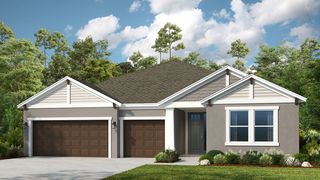 New construction Single-Family house Odessa, FL 33556 - photo