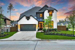New construction Single-Family house 117 Everest Drive, Montgomery, TX 77316 - photo