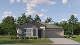 New construction Single-Family house 3645 Capital Reserve Drive, Plant City, FL 33565 Dover- photo