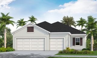 New construction Single-Family house 10132 Hammock Brook Drive, Parrish, FL 34219 Meadow Brook- photo
