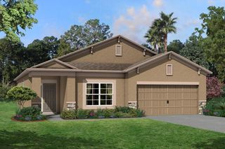 New construction Single-Family house 33224 Amling Pecan Branch, Wesley Chapel, FL 33545 Newport II- photo