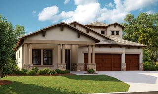 New construction Single-Family house Big Hawk Dr, Zephyrhills, FL 33541 - photo