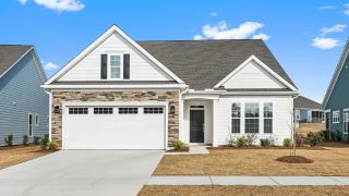 New construction Single-Family house 151 Citrea Drive, Summerville, SC 29483 Fir- photo