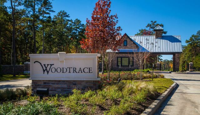 Woodtrace 65' by Drees Homes in Pinehurst - photo 3