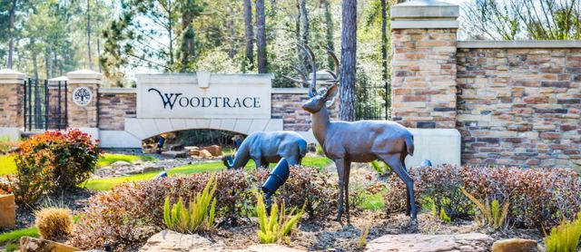 Woodtrace: Classic Collection by Lennar in Pinehurst - photo 5