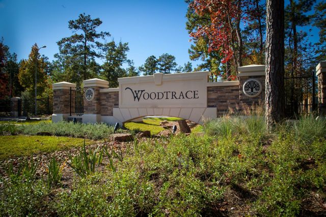 Woodtrace 85' by Drees Homes in Pinehurst - photo 3