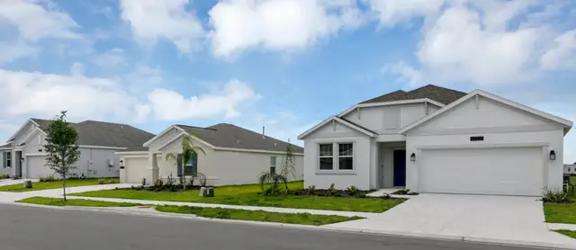 Cascades: Legacy Collection by Lennar in Davenport - photo