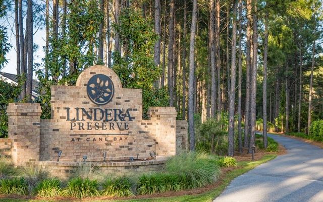 Lindera Preserve at Cane Bay Plantation: American Dream Series by Lennar in Summerville - photo