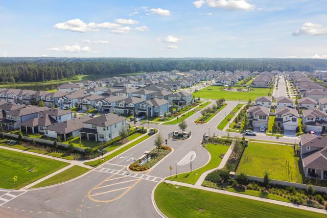 Whispering Oaks Preserve by M/I Homes in Wesley Chapel - photo