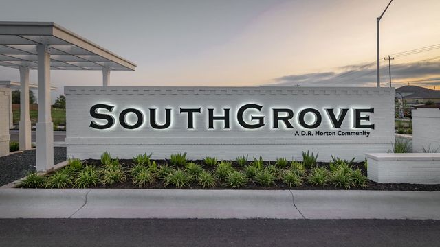 Southgrove by D.R. Horton in Kyle - photo