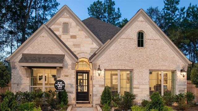 ARTAVIA 50' by Perry Homes in Conroe - photo