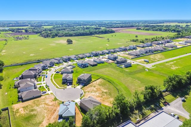 Hilltop Point by M/I Homes in Dade City - photo