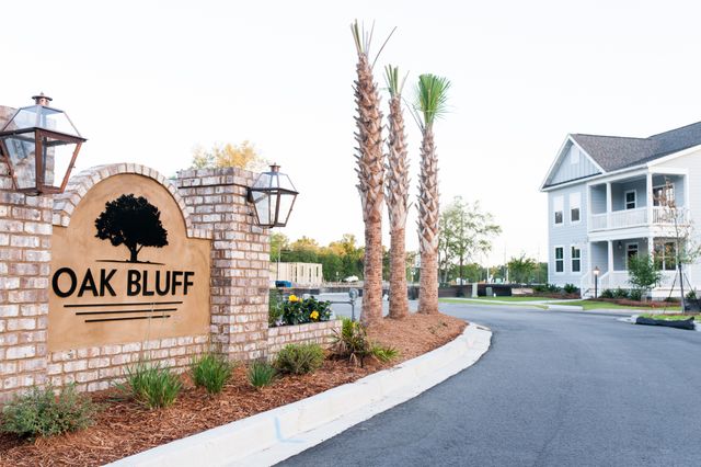 Oak Bluff by Crescent Homes in Charleston - photo