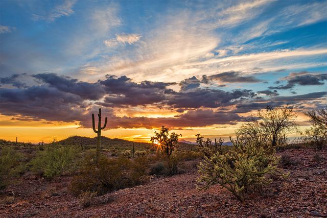 Bella Vista Farms by Mattamy Homes in San Tan Valley - photo