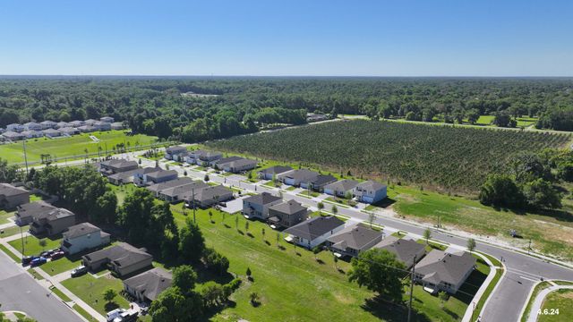 Grandview Gardens by Mattamy Homes in Deland - photo