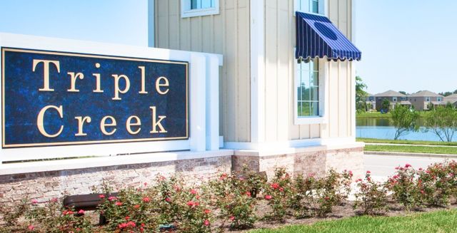 Triple Creek: The Executives by Lennar in Riverview - photo