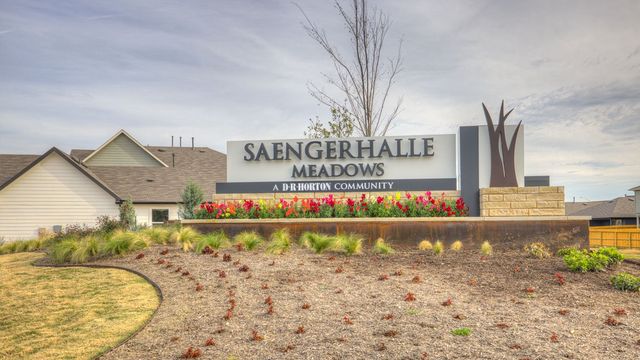 Saengerhalle Meadows by D.R. Horton in New Braunfels - photo