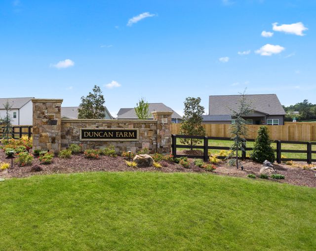 Duncan Farm by Smith Douglas Homes in Cartersville - photo