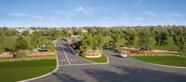 Treeline by Tri Pointe Homes in Justin - photo