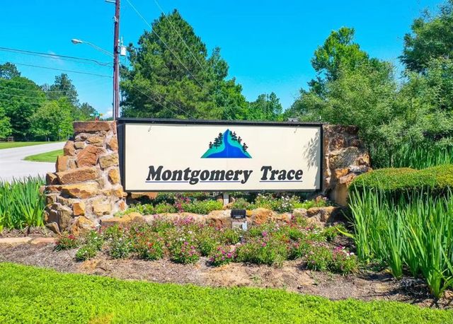 Montgomery Trace by Gracepoint Homes in Montgomery - photo