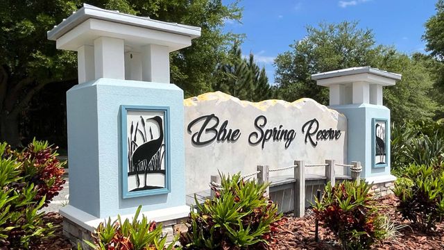 Blue Springs Reserve Townhomes by Trinity Family Builders in Groveland - photo