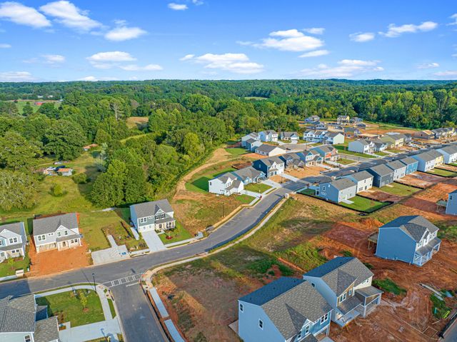 Crossvine Estates by Fischer Homes in Braselton - photo