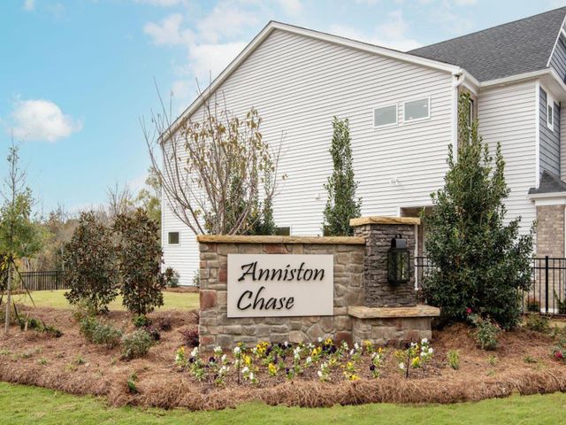 Anniston Chase by Meritage Homes in Fort Mill - photo