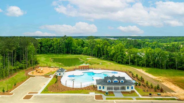 Carolina Groves Townhomes by D.R. Horton in Moncks Corner - photo