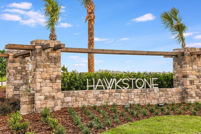 Hawkstone by Casa Fresca Homes in Lithia - photo