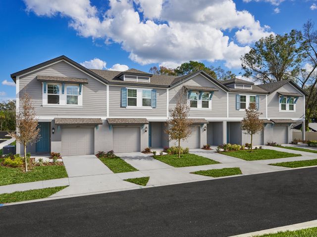 Preston Oaks by Meritage Homes in Brandon - photo