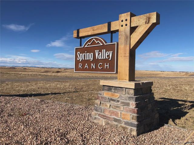 Spring Valley Ranch by D.R. Horton in Elizabeth - photo