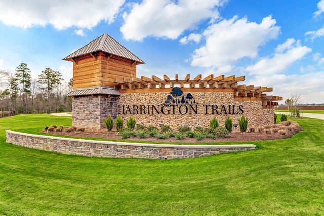 Harrington Trails at The Canopies by D.R. Horton in New Caney - photo