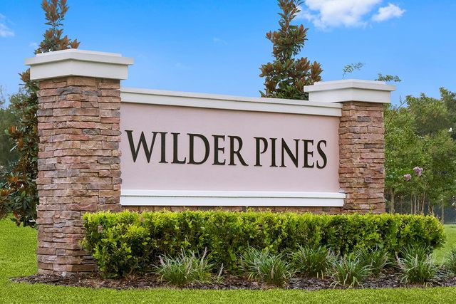 Wilder Pines by KB Home in Lakeland - photo
