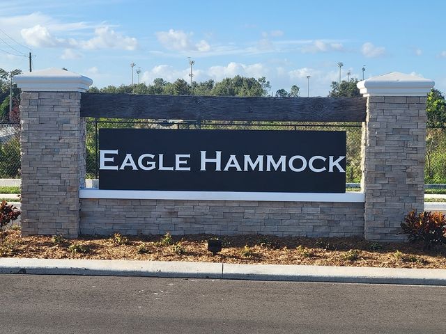 Eagle Hammock by D.R. Horton in Eagle Lake - photo