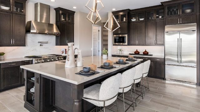 Aloravita South Summit Collection by Taylor Morrison in Peoria - photo