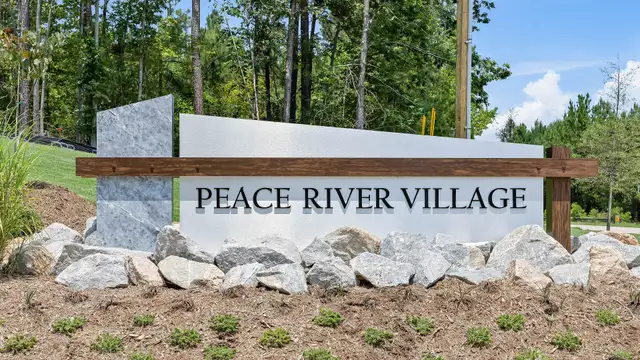 Peace River Village Single Family by DRB Homes in Raleigh - photo