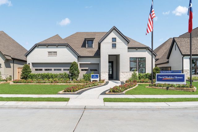 Riceland 60’ Homesites by David Weekley Homes in Mont Belvieu - photo