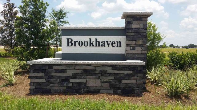 Brookhaven by D.R. Horton in Ocala - photo